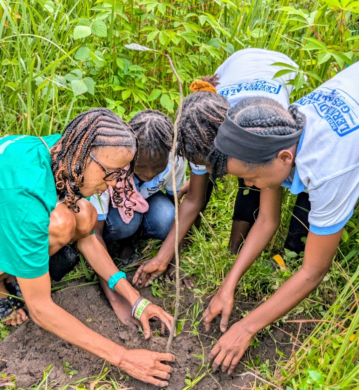 Tree planting